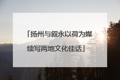 扬州与叙永以荷为媒续写两地文化佳话